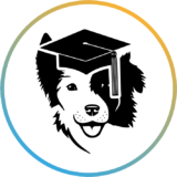 Training Dog Course